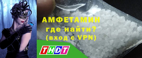 эйфоретик Гусь-Хрустальный