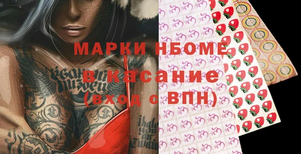эйфоретик Гусь-Хрустальный