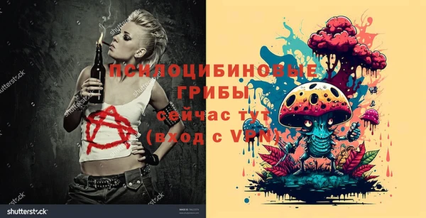 эйфоретик Гусь-Хрустальный
