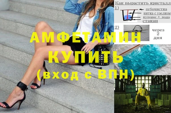 эйфоретик Гусь-Хрустальный
