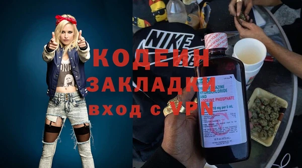 эйфоретик Гусь-Хрустальный