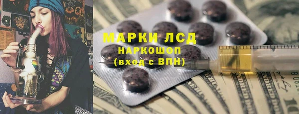 эйфоретик Гусь-Хрустальный