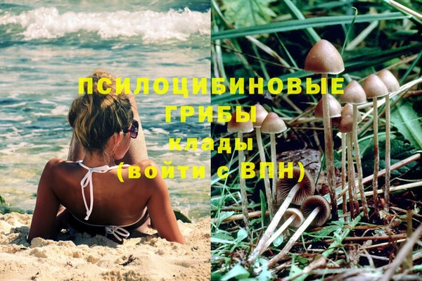 эйфоретик Гусь-Хрустальный