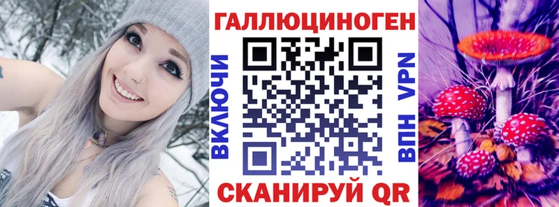 Галлюциногенные грибы мицелий  дарнет шоп  Кисловодск 